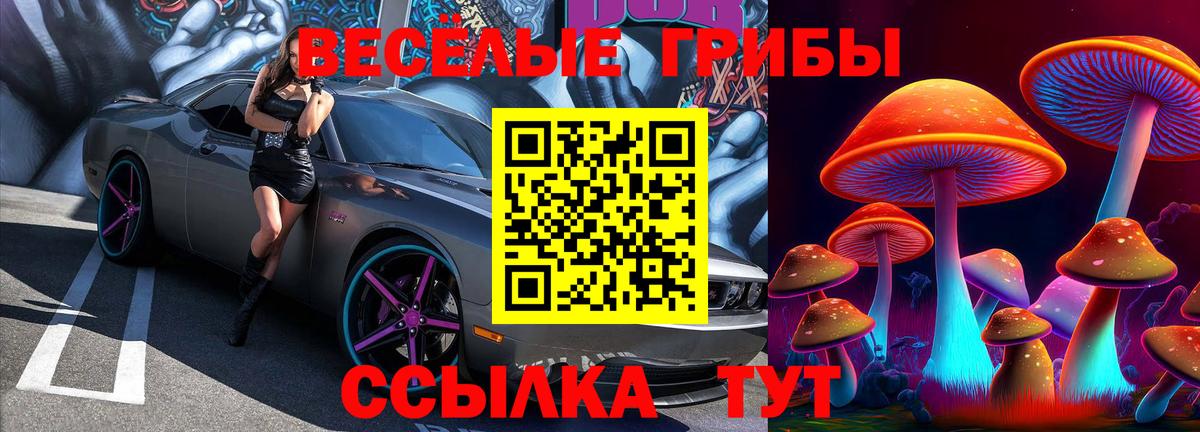 Галлюциногенные грибы мухоморы  Псилоцибиновые грибы ЛСД  Гудермес  Вход с VPN 