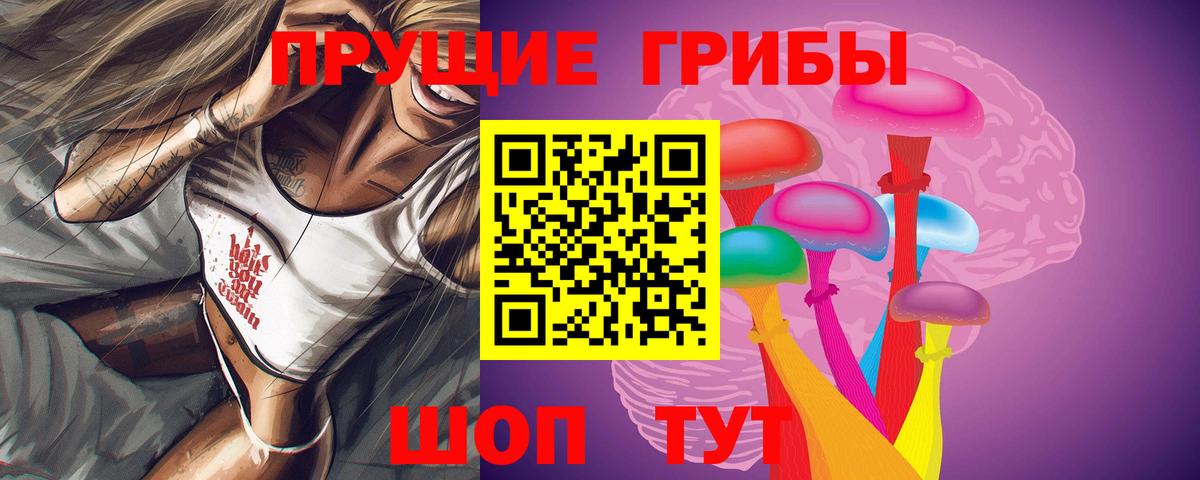 Псилоцибиновые грибы мицелий Гудермес